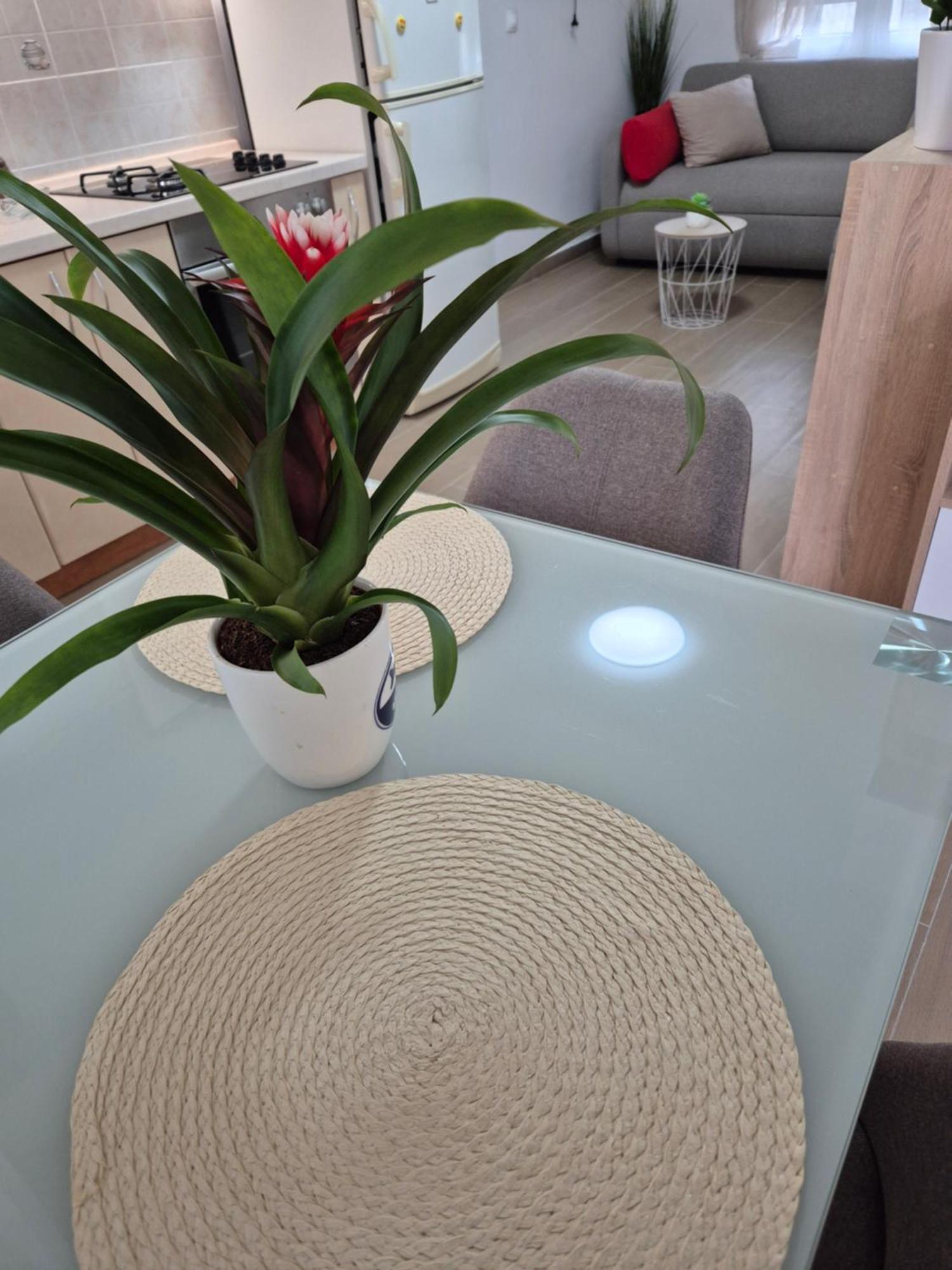 Apartments Duje Split Pokoj fotografie